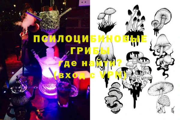 крисы Аркадак