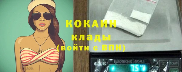 крисы Аркадак